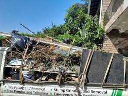 Best Commercial Junk Removal  in St Charles, IL